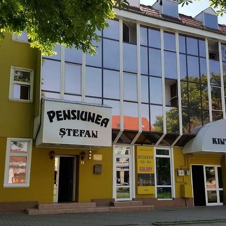 Pensiunea Stefan Bistriţa Exterior foto